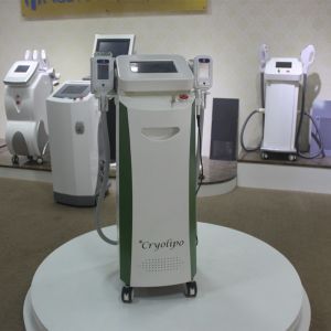 Vertical Cryolipolysis Machine Cellulite Fat Removal Slimming With 2 Handles