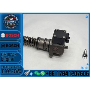 Common Rail Fuel Injector 313GC5230MX for DAF CF 9.2d 12.13d Engine PE XE-C Euro