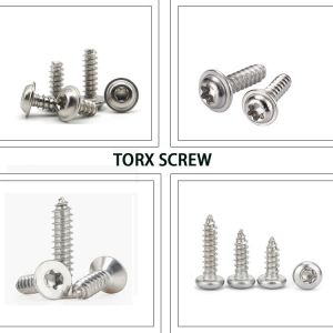 Black Oxide Finish Torx Round Pan Head Self-Tapping Screws for OEM Customized