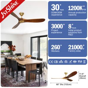 3 Wooden Blades Decorative 60 Inch Ceiling Fan 220V With Remote Control