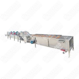 Industrial Apple Fruit Processing Line Automatic Fruit Washing Machine Apricot