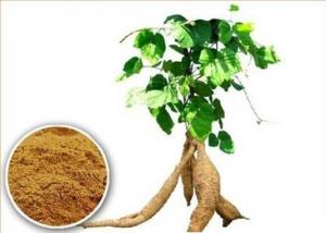 Cheap Kudzu Extract 30% Puerarin for sale