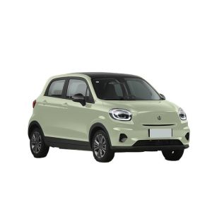 Leapmotor T03 Automobile Electric Suv with 100km/h Max Speed and Left Steering