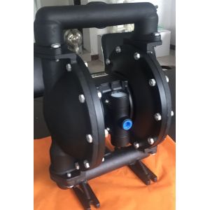 Cast Iron Air Driven Double Diaphragm Pump Dual Jbsl Diaphragms