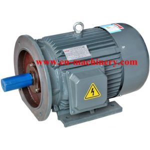Engine Motor three phase Super High Efficiency AC DC Electric Motor