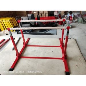 Customized Logo Availabled Mai Dong Gymnastic Training Bar for Gymnastic