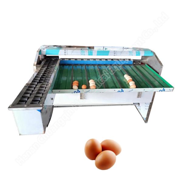 Quality Egg Size Sorting Machine Egg Sorter Machine Automatic Egg Grading Machine wholesale
