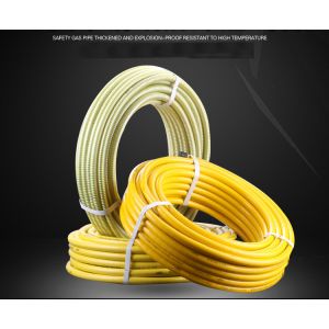 Fire Resistance Ss Corrugated Flexible Hose flex 25mm for Home Cooking