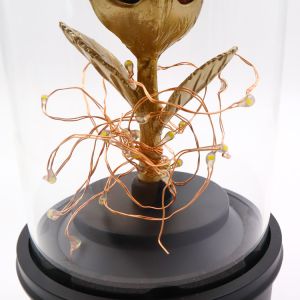 Eternal Handmade Design Preserved Rose Glass Dome With Bluetooth Speaker