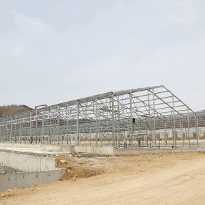 Light Steel Structure Poultry Farming Structures Poultry House