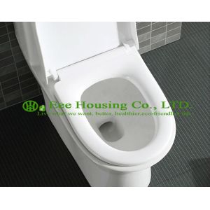 Sanitary ware One Piece Toilet Dual Flush Ceramic Wc Toilet with Siphon Flushing
