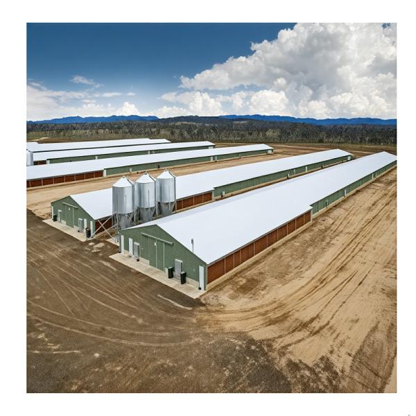 Prefab Steel Structure Chicken House Building , Light Steel Fabricated Building