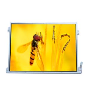 Cheap LTM10C320P 10.4 inch 1024*768 TFT LCD Screen Display for sale