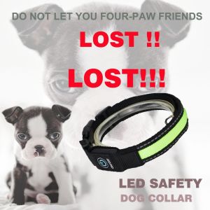 Custom Nylon Glowing Rechargeable Usb Safety Dog LED Collars