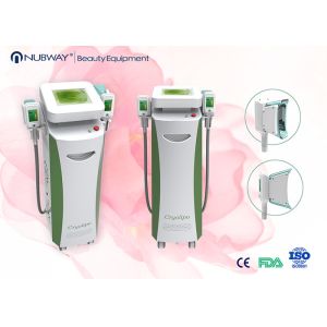 China Cryolipolysis machine manufacturer with new technology on sale