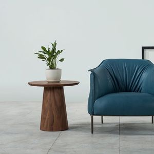 Creative Walnut Combo Round End Table Original Wood Grain Finish Low Coffee