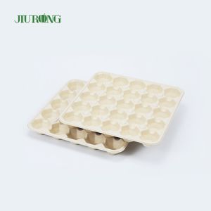 Greaseproof Paper Sugarcane Food Container Recycled Biodegradable Egg Tray