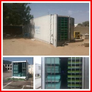 Automatic Barley Hydroponic Fodder Machine Cattle Green Fodder Growing Machine