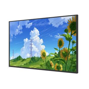 43 Inch Open Frame LCD Monitor DVI and LVDS Panel Interface for Enhanced