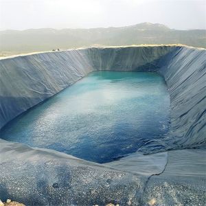 Industrial Impermeable Geomembrane for Mine Soil Remediation Garden Oily