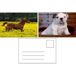 Flip Effect 3D Lenticular Postcard Cute Puppies and Kittens Design