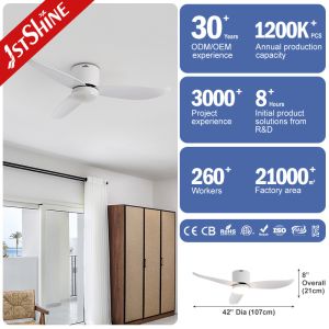 Flush Mount Design 2-in-1 Ceiling Fan Optional LED Light for 220V Voltage and