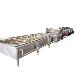 China Water Recycling 400kg 800kg/H Leafy Vegetable Washing Machine on sale