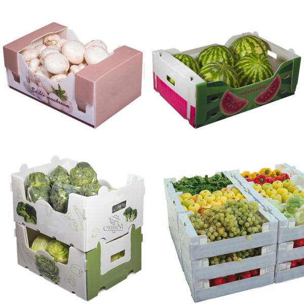 Quality Correx Ginger Corrugated Plastic Packaging Boxes Hollow Material wholesale