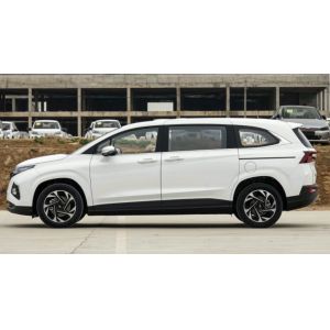 Hyundai custo 2021 380TGDi Luxury version Gasoline DLX 5 Door 7 seats MPV