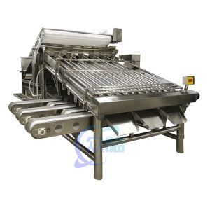 Small Stable Shrimp Grading Machine Multiscene For Fish Sorting