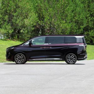 2023 Hongqi HQ9 5-door 7-seat Max Speed 200km/h Petrol Car with L2 Aided Driving