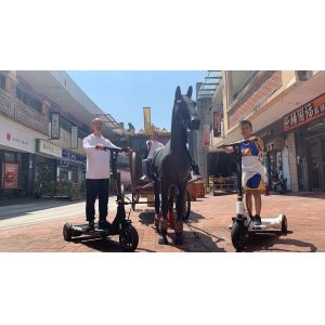 Cheap Magnesium Alloy Throttle Handle 25km/h Electric E Scooter for sale