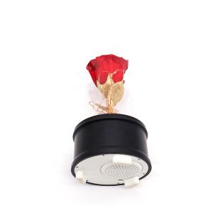 Customized Color Preserved Rose Glass Dome Bluetooth Speakers For Home