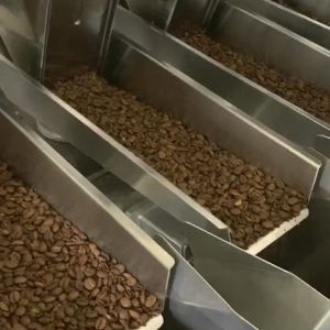 200g 500g 1kg 2kg Coffee Beans Auto Linear Weigher Filling Packing Machine