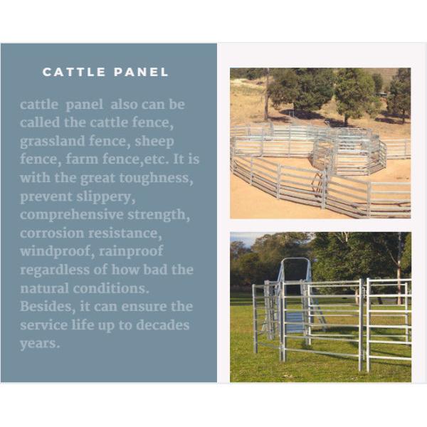 From Budget Cattle Panels To Extra Heavy Duty Portable Corral Panels For Cattle