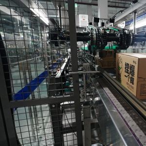 Stable Performance CE ISO Certified Wrap Around Case Packer with Touch Screen