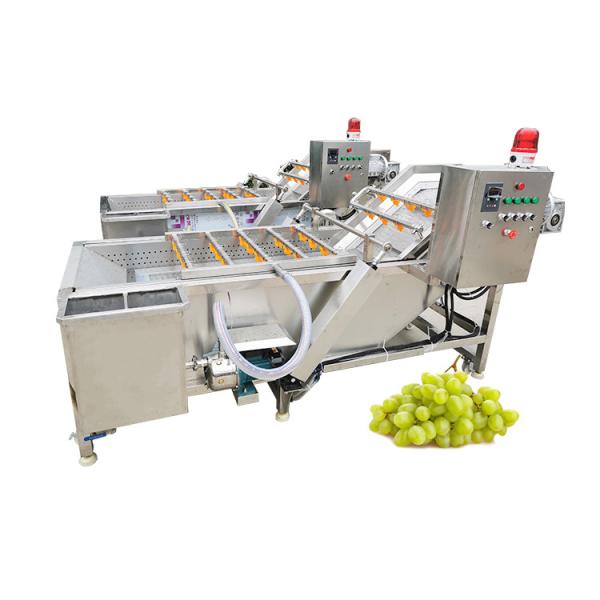 Fruit And Vegetable Production Line Cutting Washing Drying Frozen Line Salad
