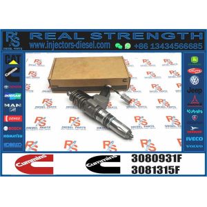 Wholesale High-performance Fuel Components Diesel Fuel Injector 3411761 3080931F