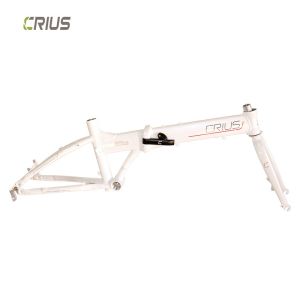20" Aluminum Alloy Folding Bike Frame with Gloss Surface Processing Mode
