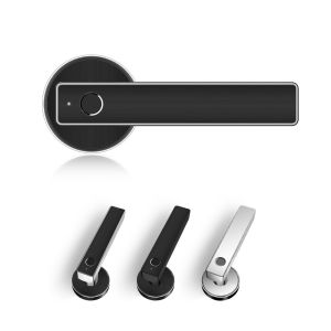 Office Electronic Door Locks Phone Control Biometric Fingerprint Entry Smart