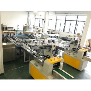 High Productivity Custom Packaging Solutions Cookie Packaging Machine