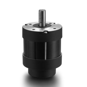 Faradyi Factory Direct Sales 18-80V Pw Motor Permanent Magnet Stepper Dc Motor