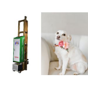 Mural Decoration Printing 720dpi 3d Wall Inkjet Printer Machine