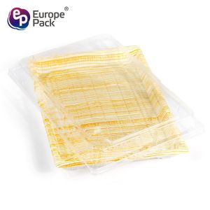 Newest design 10 inch square shape takeaway disposable patisserie sushi