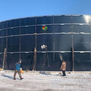 High Cost Performance Anaerobic Reactor Biogas Plant Project