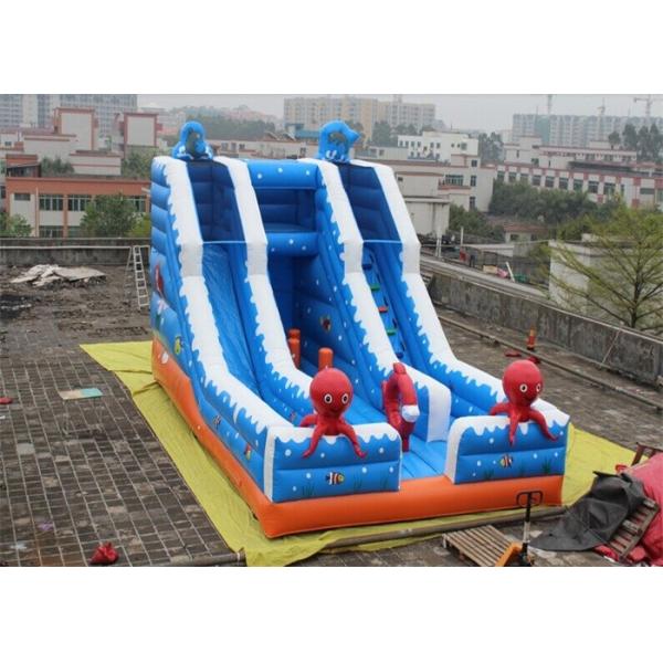 Double Slide Way Commercial Inflatable Slide, Giant Inflatable Mega Slide For