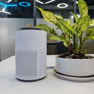 Cheap Desktop Electric Plasma Pure Air Purifier Portable Plasma Sterilizer With Child Lock for sale