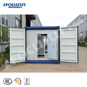 20ft Containerized Solar Powered Cold Room with Compressor and Video Technical