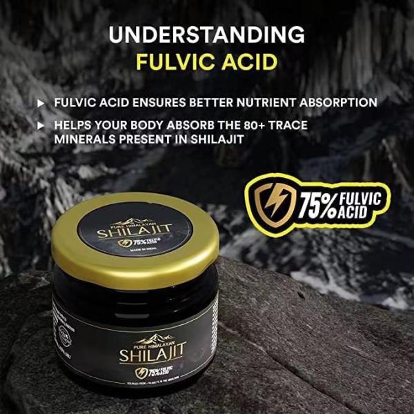 Himalayas India Shilajit Resin with Rich Fulvic Acid Sourced Available in Private Label and Packaging