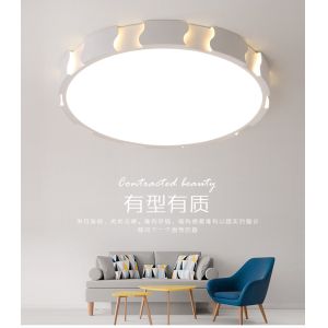 China 2018 new fashion simple modern indoor ceiling lamp on sale